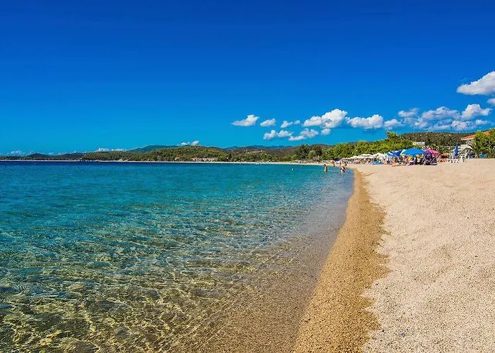 Blue Sea טורוני